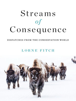 cover image of Streams of Consequence